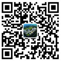 �ɶ�����ͻ��-������κ�����_MG������Ϸ�����ѧУ΢�Ź��ں�