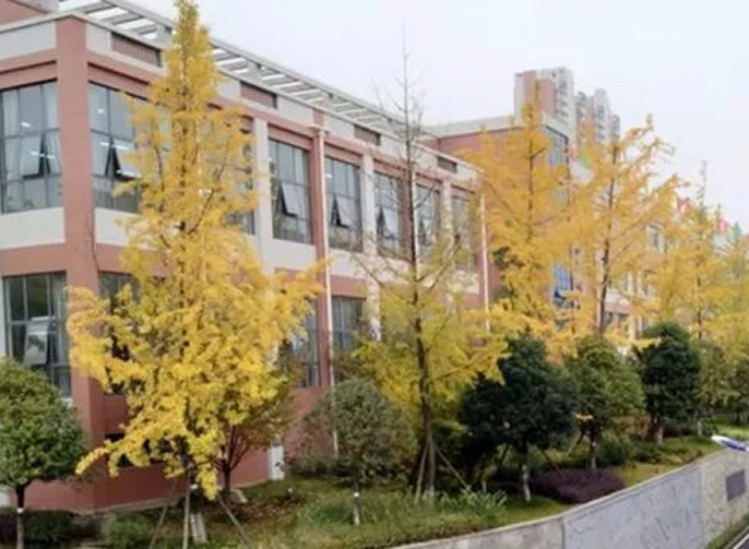 ���Ͻڱ���ͻ��-������κ�����_MG������Ϸ��ͣ��������������һֱѧ���ģ�ح������ز���ֹ լ���˶�һֱЪ �����Ͻڱ���ͻ��-������κ�����_MG������Ϸʵ��ѧУ������������լ��Ҳ�������˶�